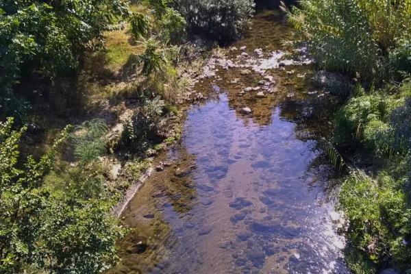 Ποδονίφτης